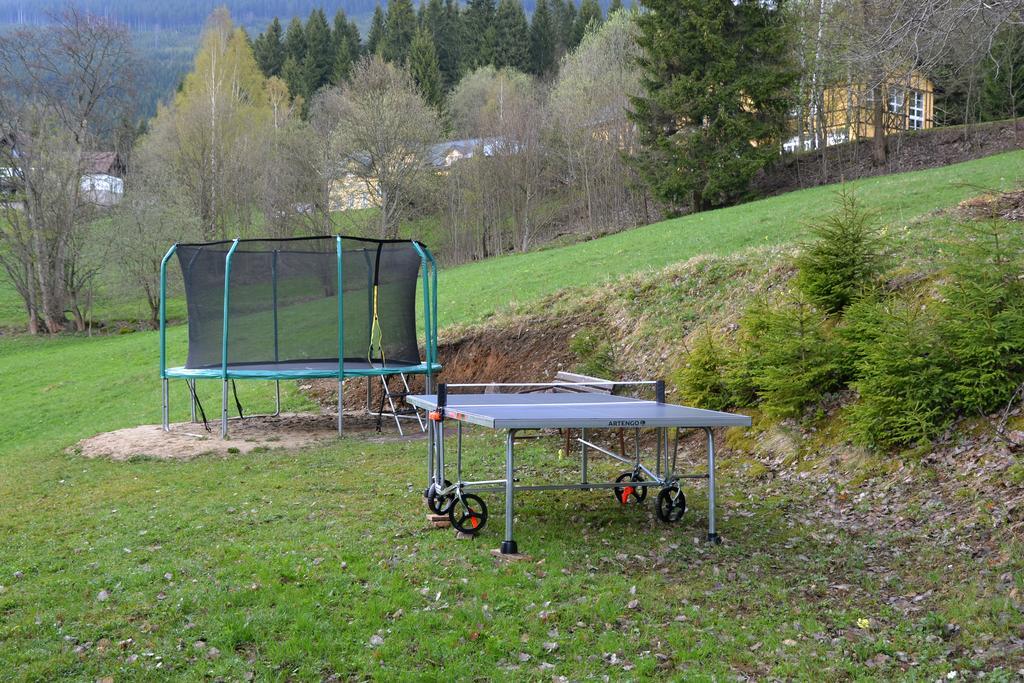 Pension Silva Špindlerŭv Mlýn Exteriér fotografie